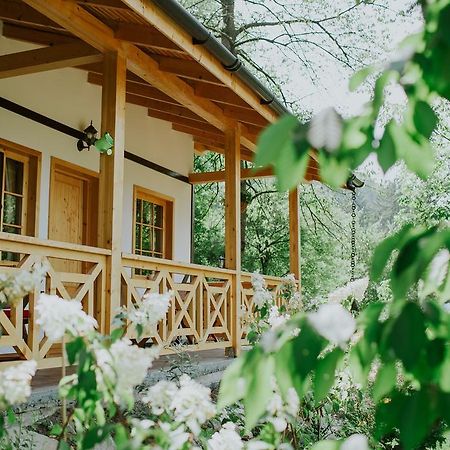 Cosama Village Sighisoara Ngoại thất bức ảnh