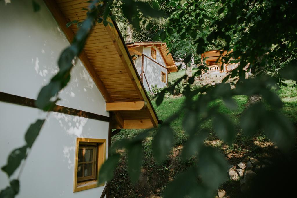 Cosama Village Sighisoara Ngoại thất bức ảnh