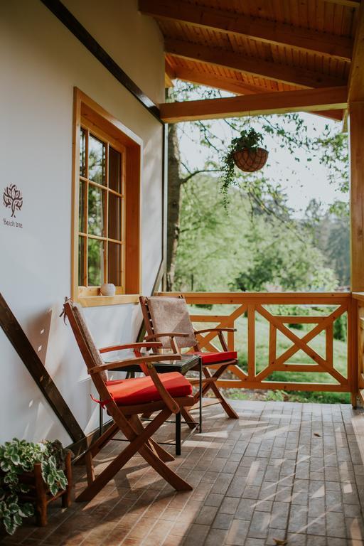 Cosama Village Sighisoara Ngoại thất bức ảnh