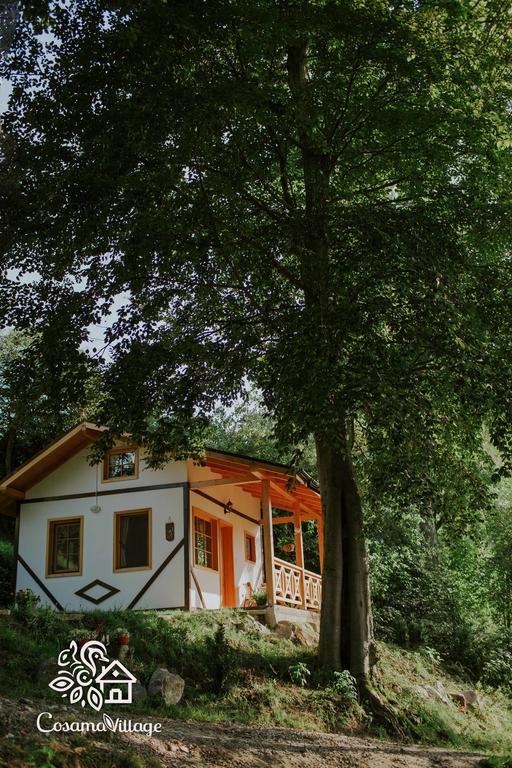 Cosama Village Sighisoara Ngoại thất bức ảnh